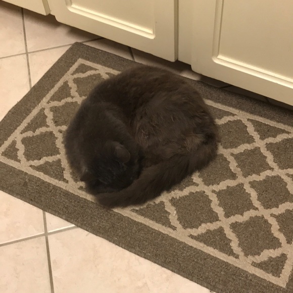 Meet your Posher - Picture 1 of 1